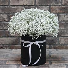 Цветочная композиция из Гипсофила в шляпной коробке в Лимане